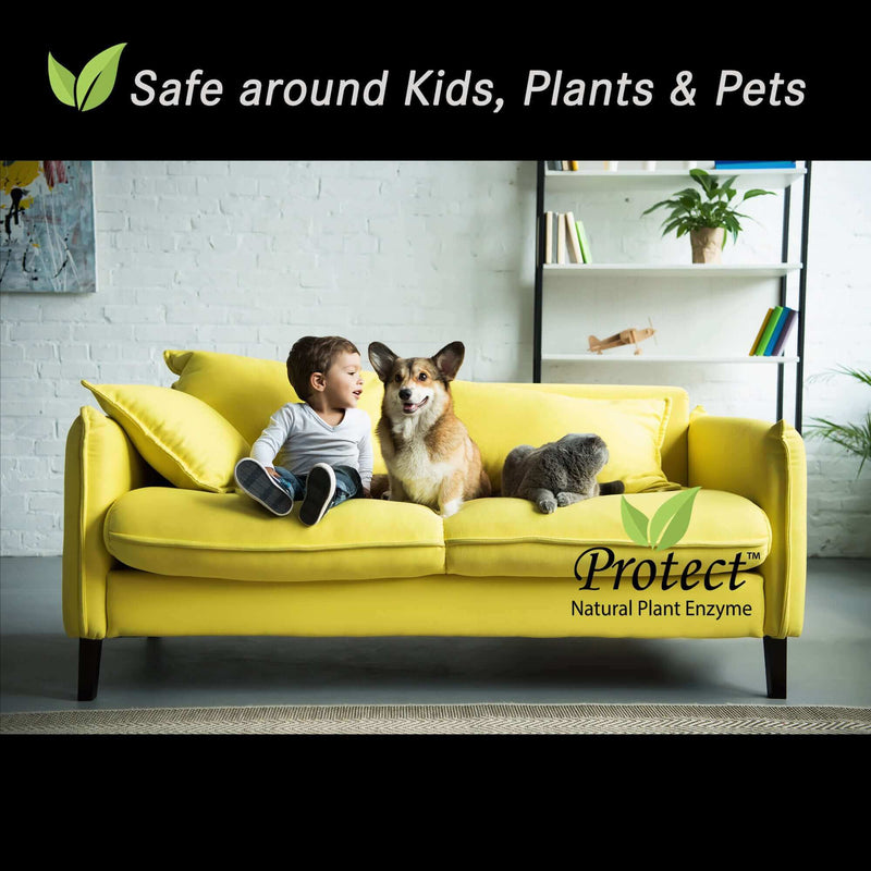 Home & Commercial Mold Odor Remover Bundle | DWD2 Protect™