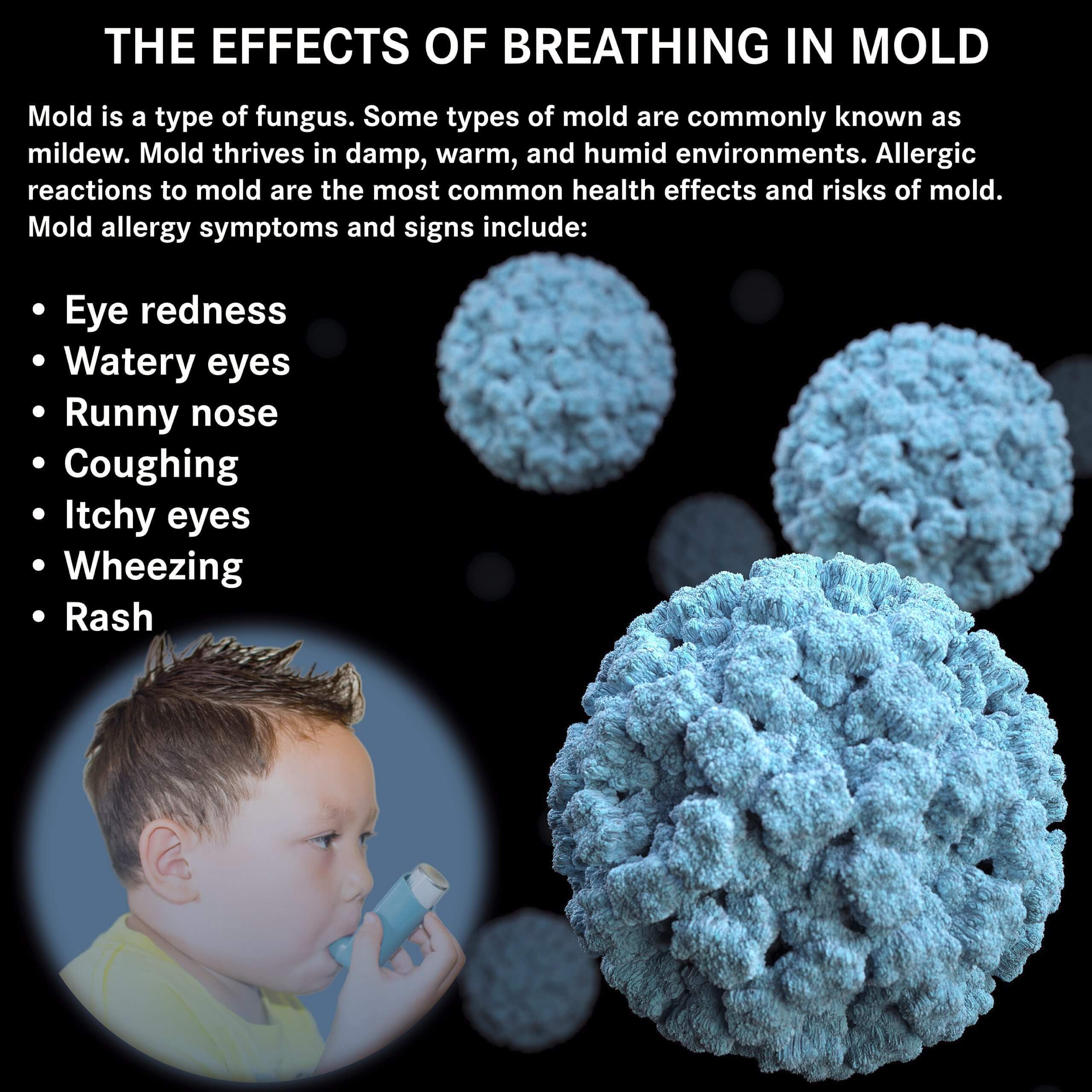 Foaming Coil Cleaner for HVAC Systems Self - Rinsing – Home & Commercial | DWD2 Clean Air®