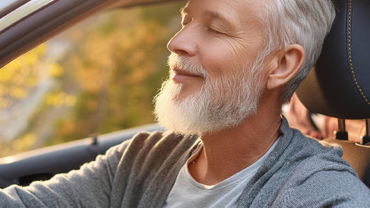 The Importance of Car Air Quality and How to Improve It